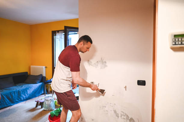 Best Kitchen Mold Remediation in Cleveland, OH
